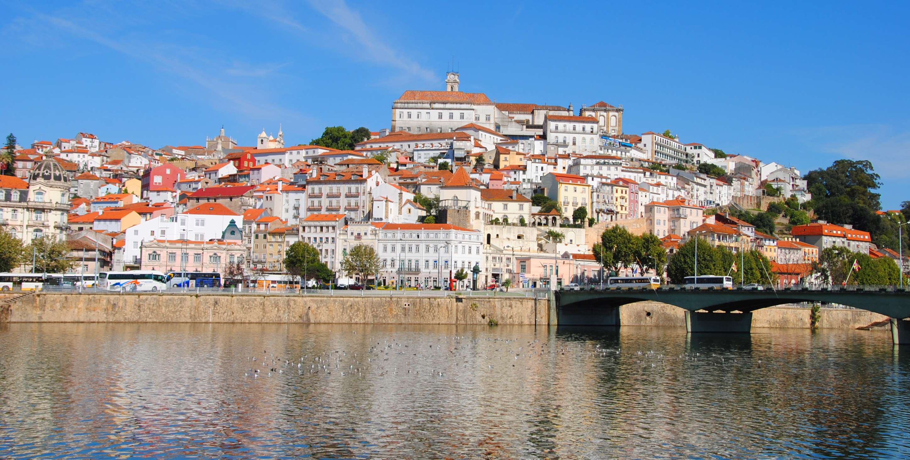 Picture of the Coimbra